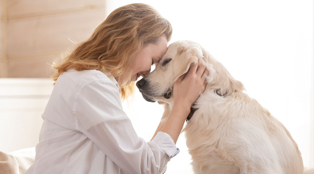 Dog Mum
