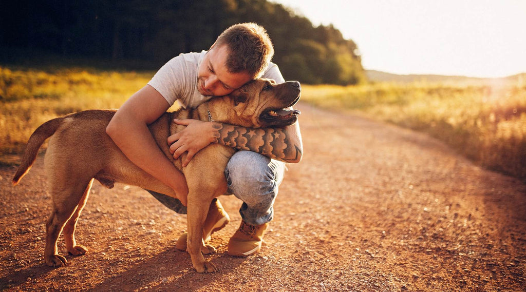 Father's Day Gift Guide for Dog Dads