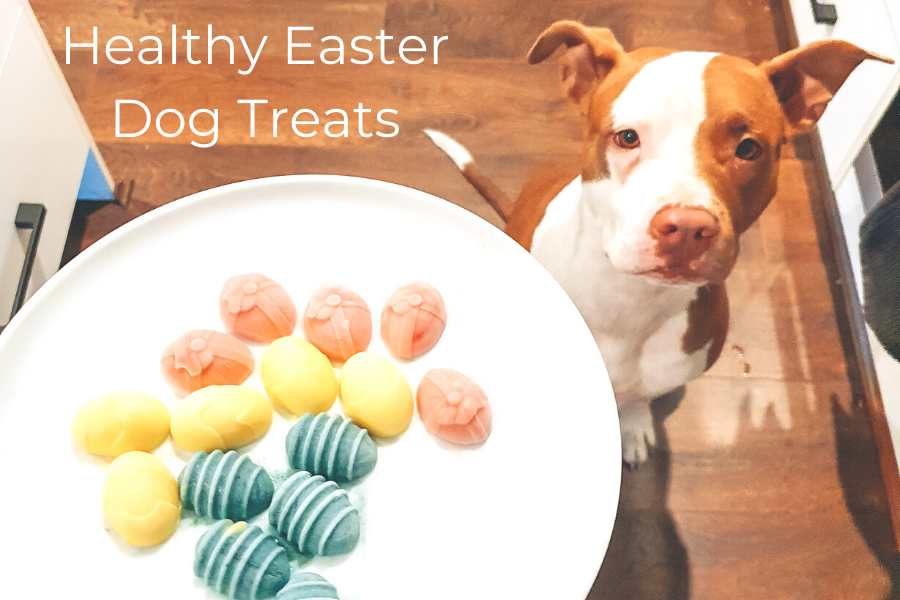Healthy Homemade Easter Dog Treats