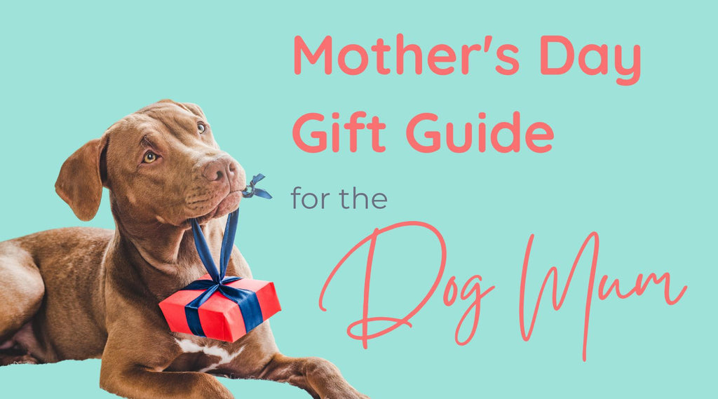 Mother's Day Gift Guide for the Dog Mum