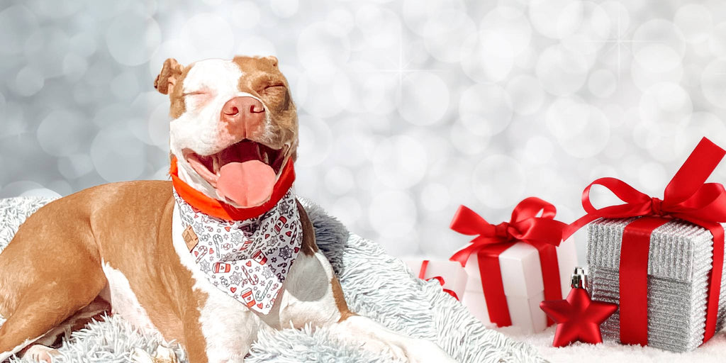 The Ultimate Christmas Gift Guide for Dogs & Dog Lovers