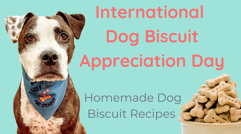 dog biscuit appreciation day
