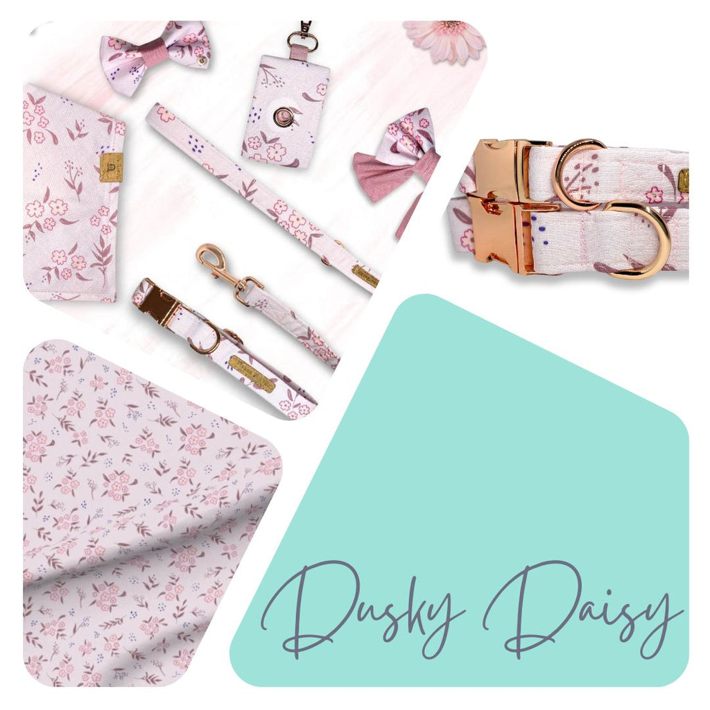 Dusky Daisy Collection