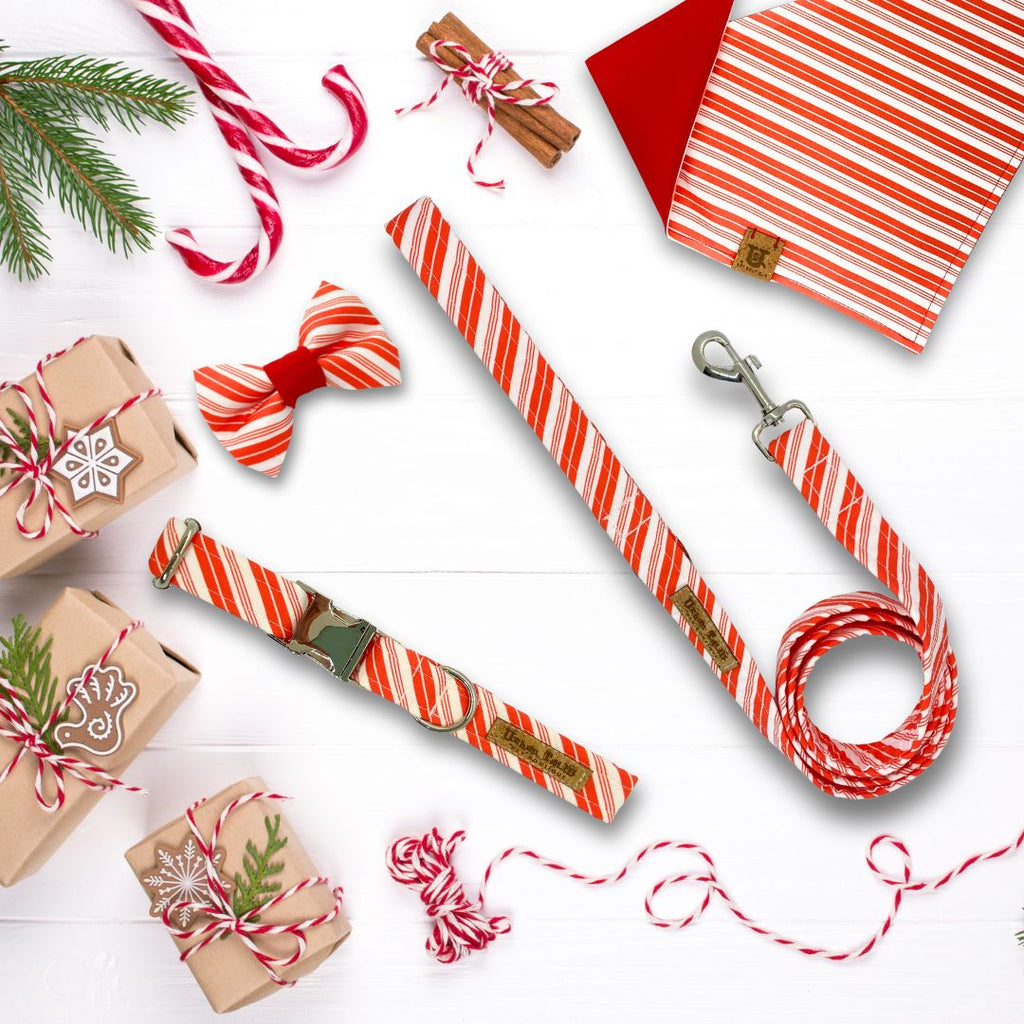 Candy Cane Christmas Collection