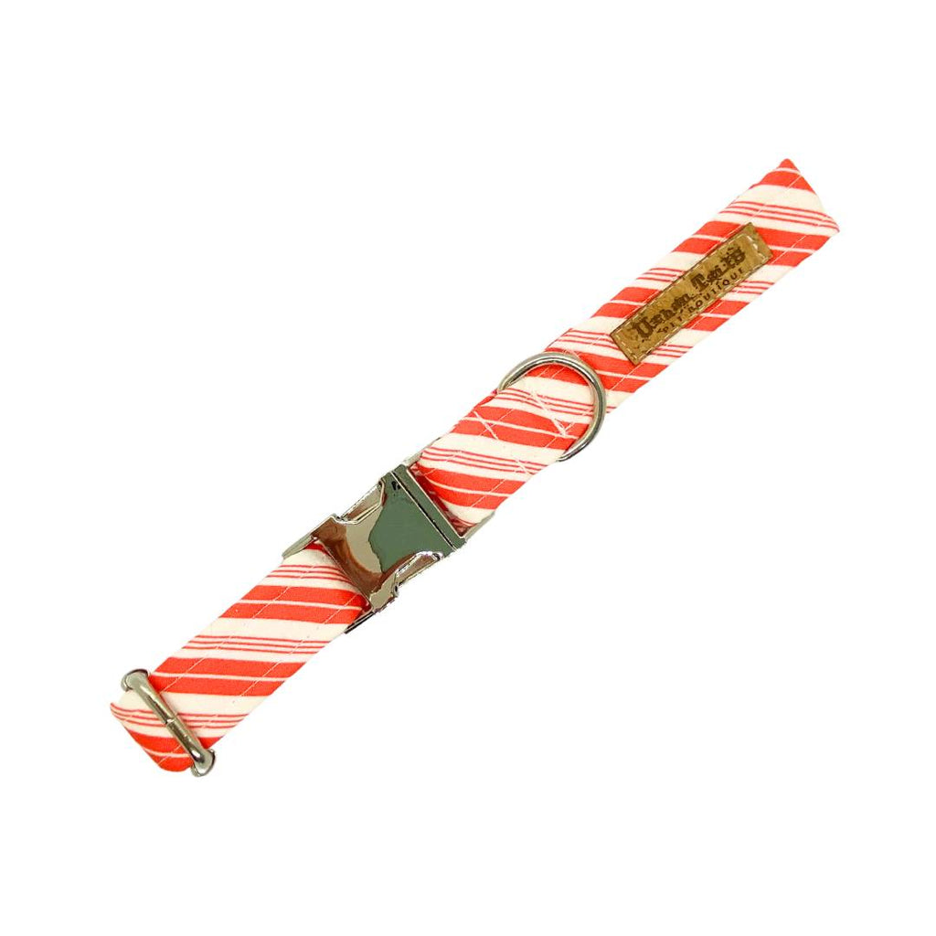 Candy cane striped dog collar with silver metal hardware