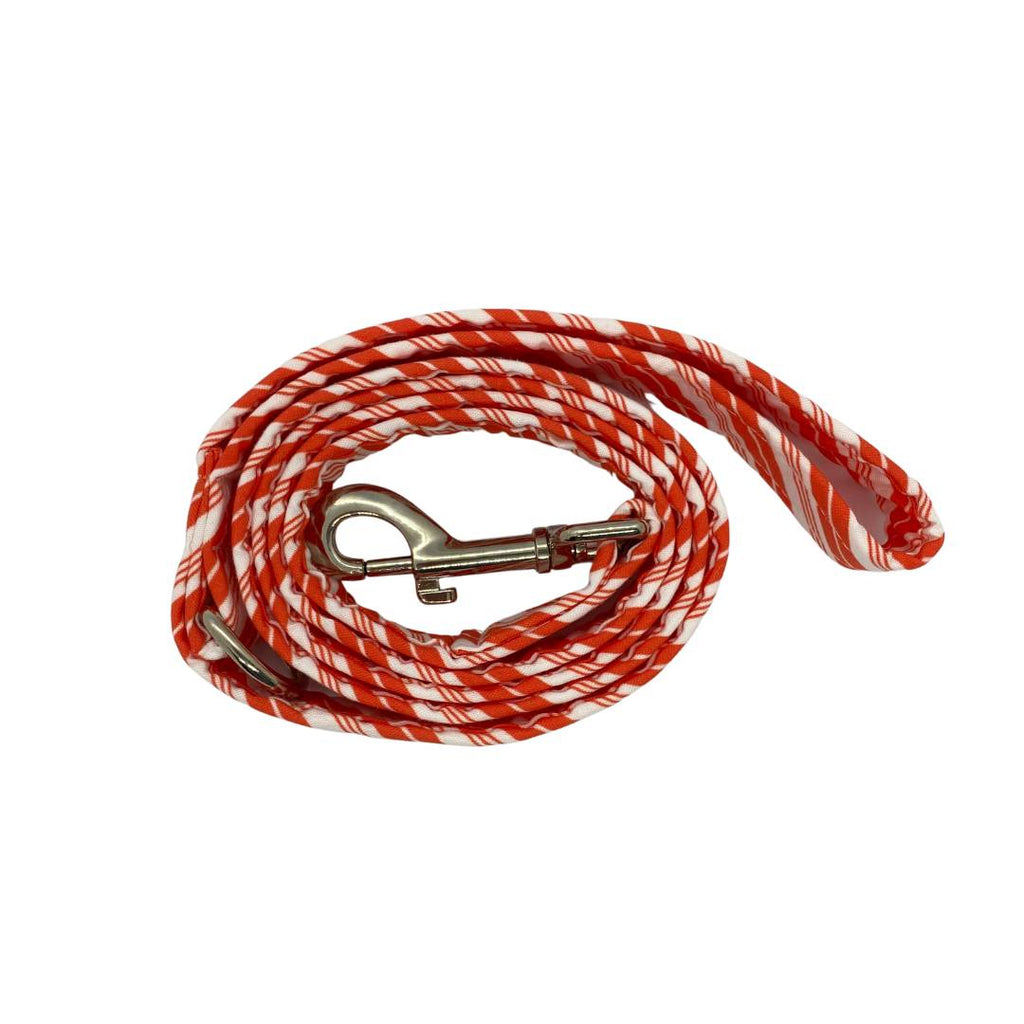 Candy cane striped dog leash with silver snap hook