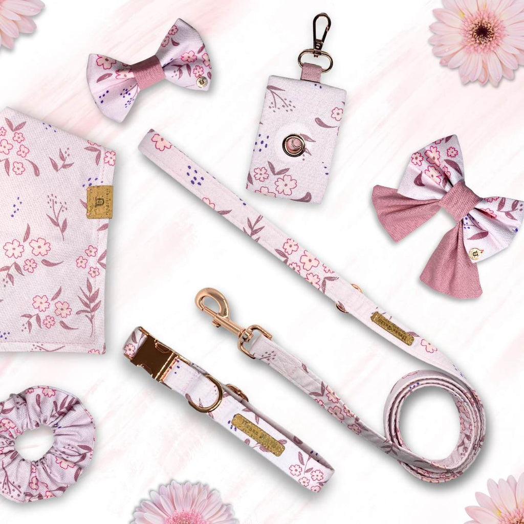 Dusky Daisy collection of dog accessories