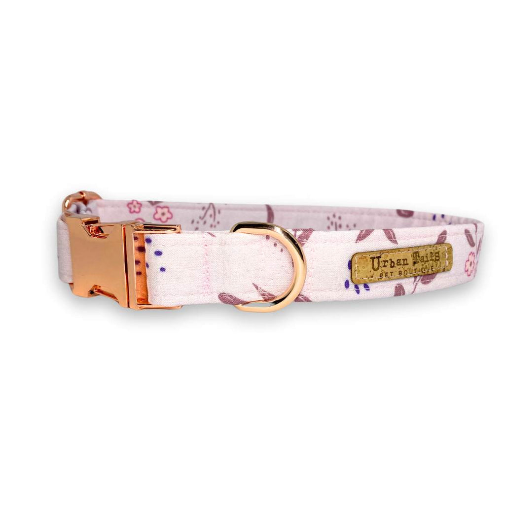 Dusky Daisy floral fabric dog collar with rose gold hardware