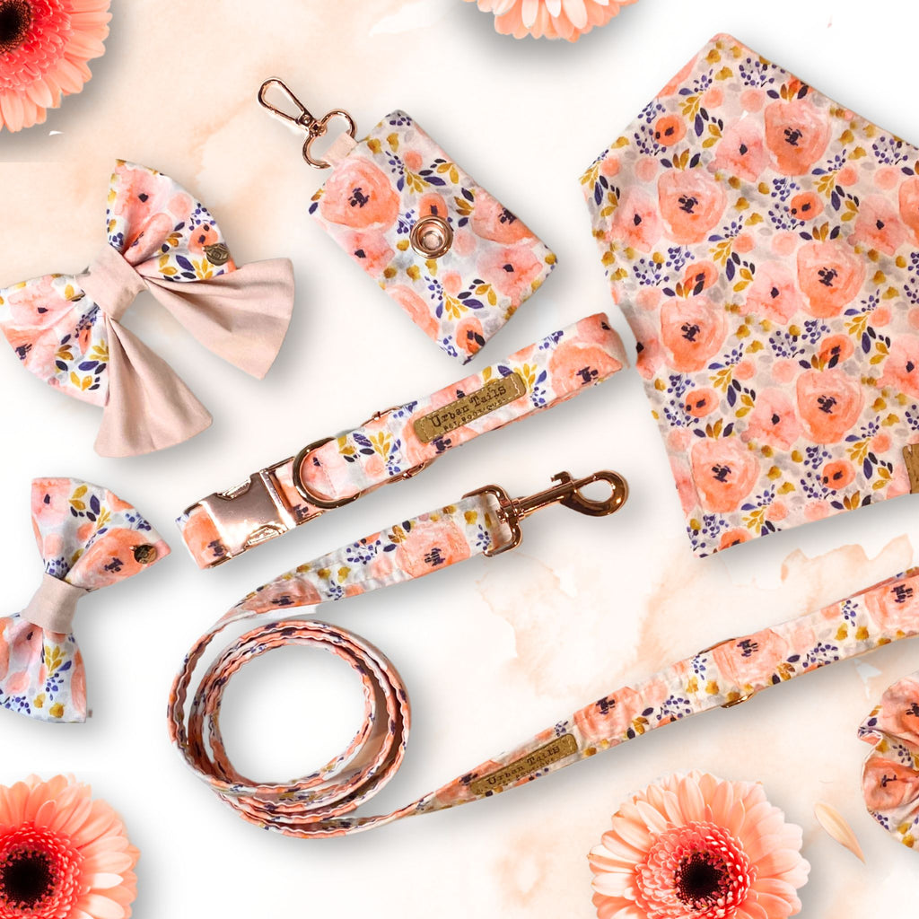 Peach Posy collection of dog accessories