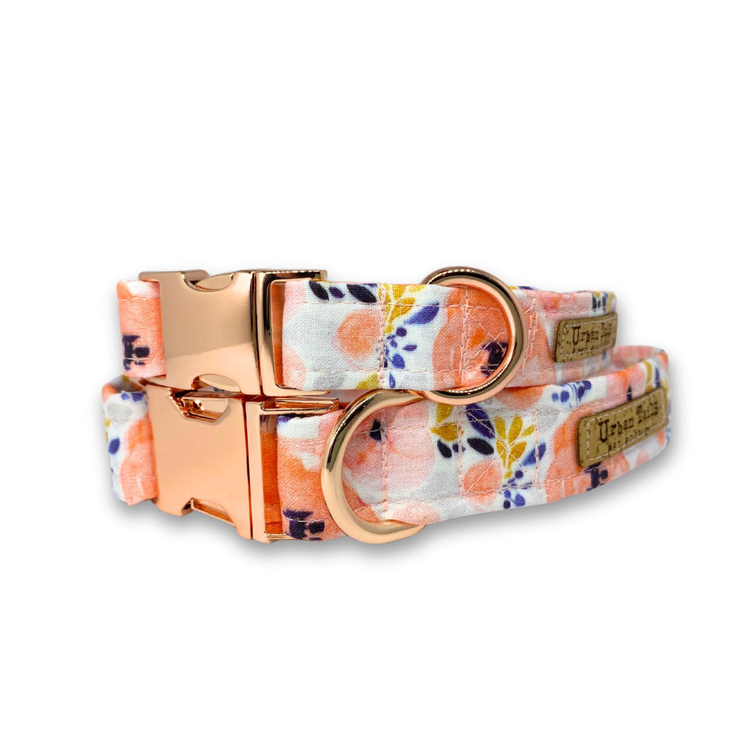Peach Posy dog collars in 20mm and 25mm widths