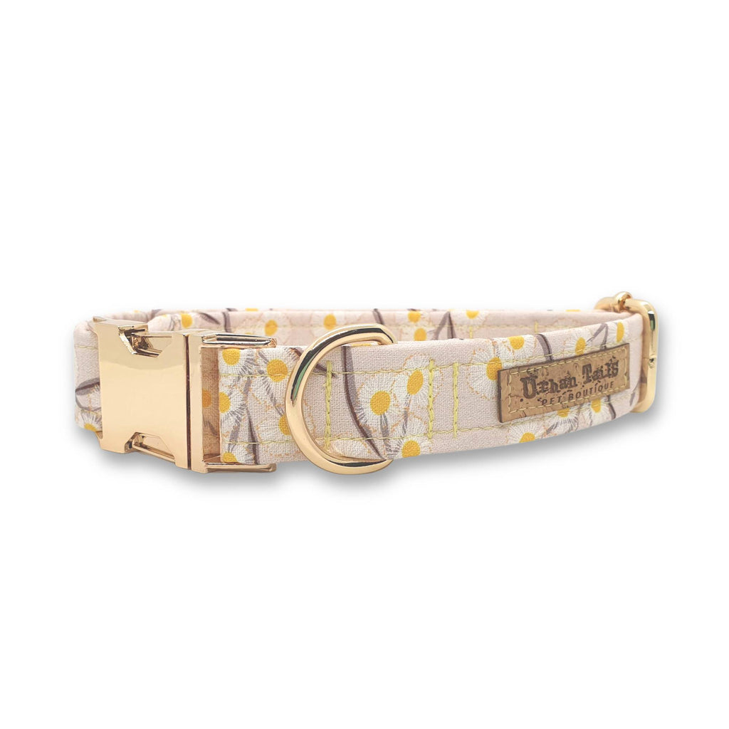 Golden Wattle dog collar with gold hardware