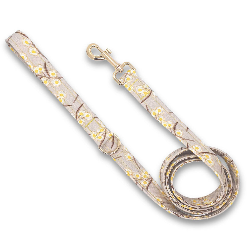 Golden wattle dog leash with d ring for accessories