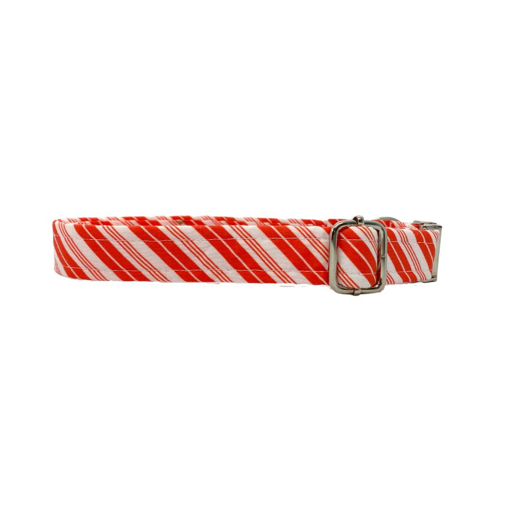 Adjustable Candy cane striped dog collar