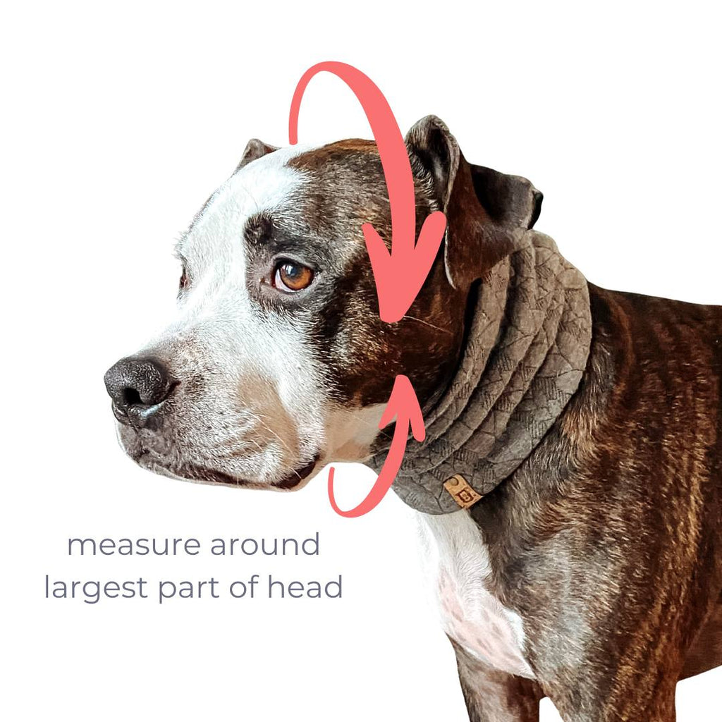 how to measure your dog for a snood