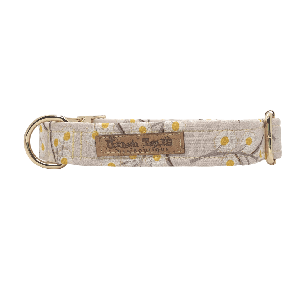 Wattle dog collar with gold hardware