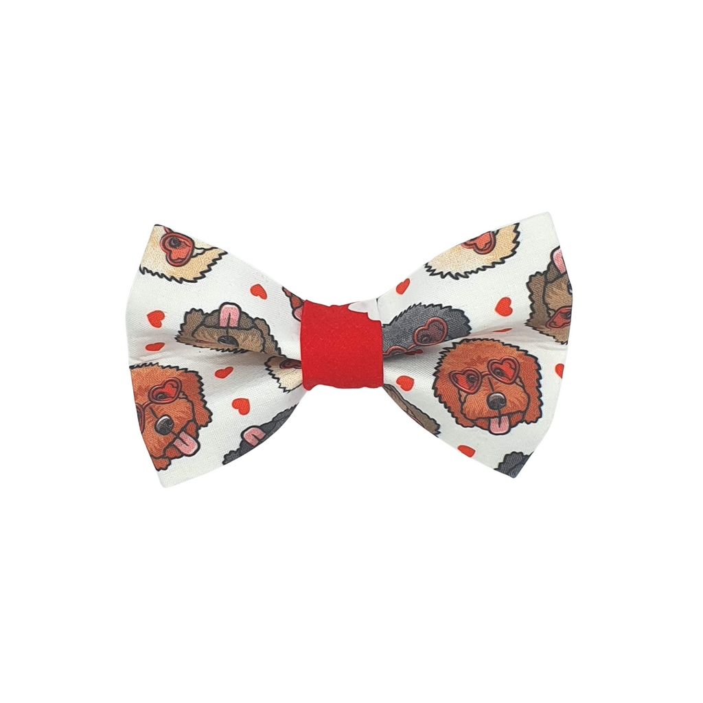 dog bow tie featuring doodles in heart shaped glasses