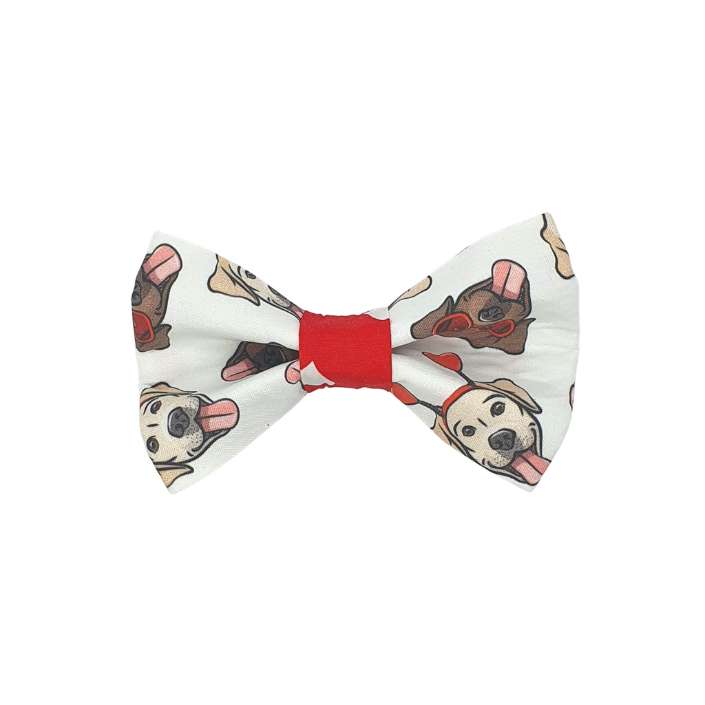 dog bow tie featuring labradors in heart shaped glasses and head boppers