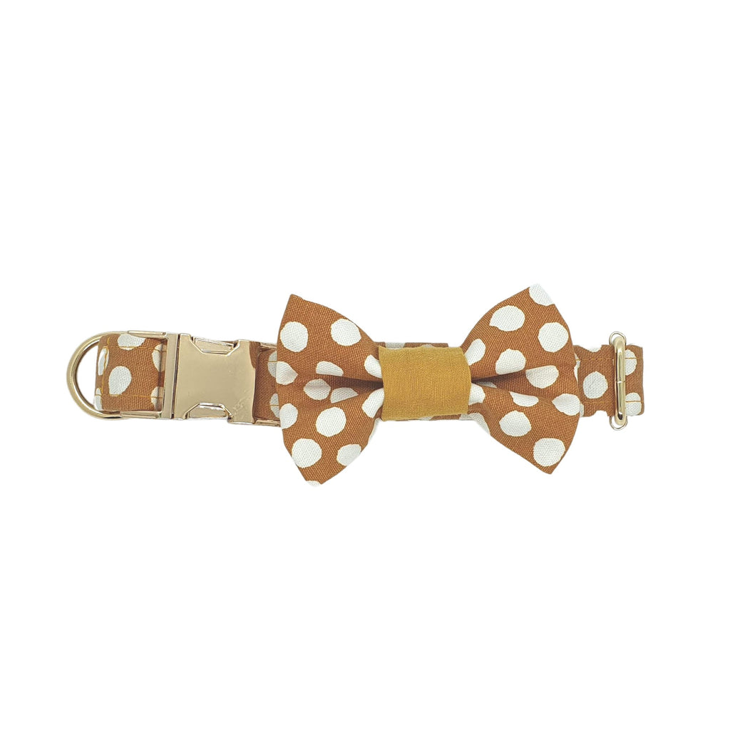 Dog bow tie collar