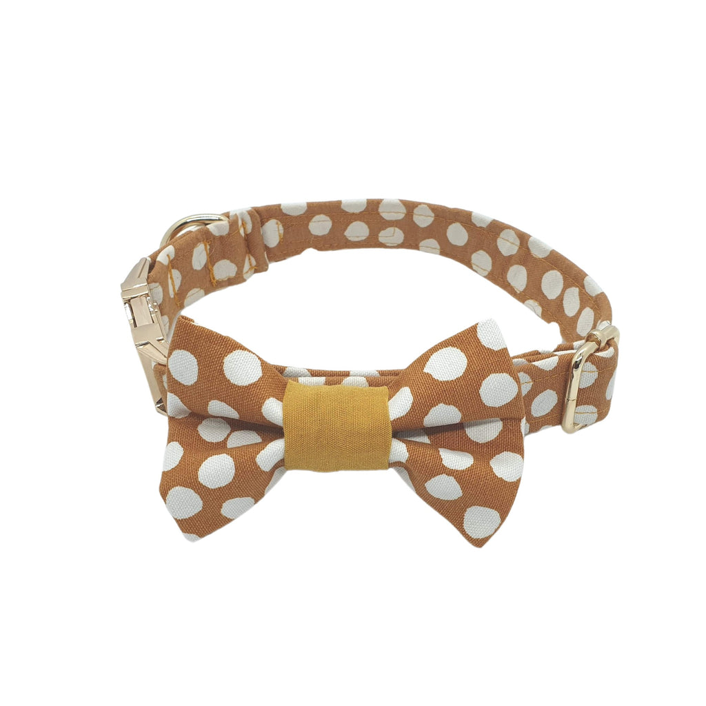 Polka Dot dog collar with matching bow tie attached