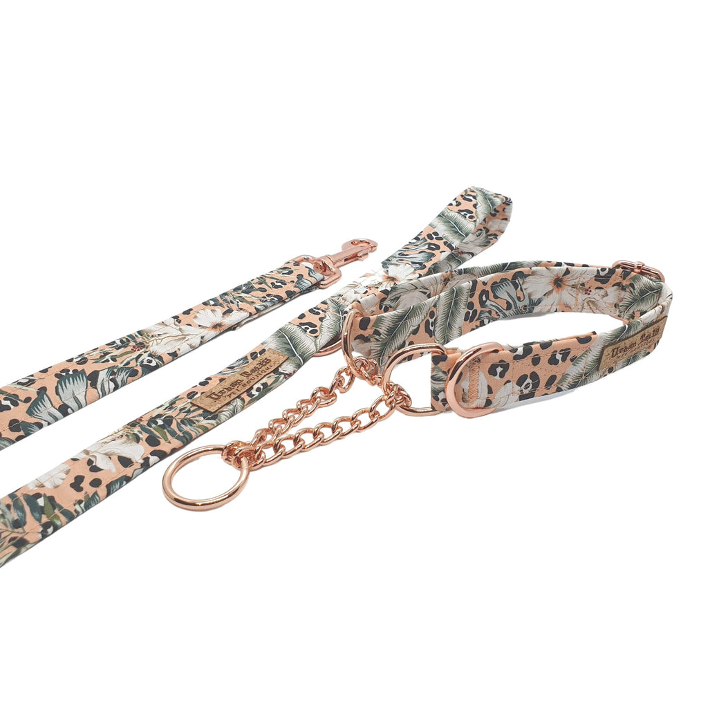 Matching peach tropical dog collar and leash set