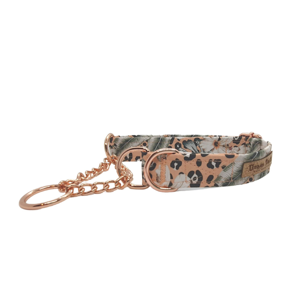 Australian made martingale dog collar with rose gold hardware